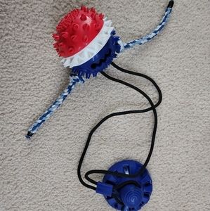 Aggressive Chewer Suction Cup Toy